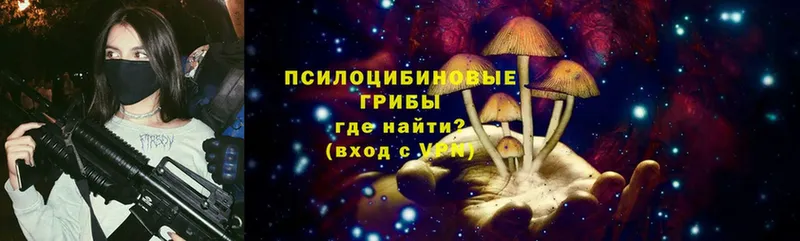 Псилоцибиновые грибы Psilocybe  Советская Гавань 